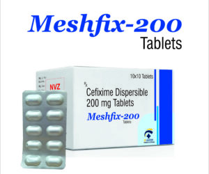 MESHFIX 200.jpg