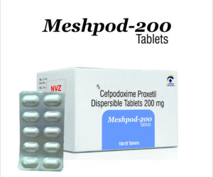 MESHPOD-200.jpg